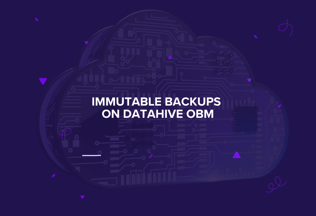Immutable Backups Explained, Why MSPs Need Them for Real Cyber Resilience - Vitanium